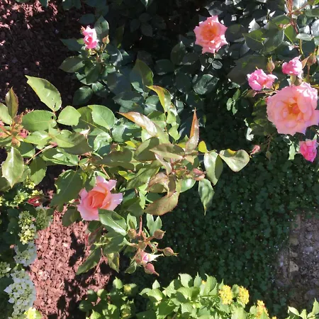 Palazzo Strassoldo Nocleg ze śniadaniem