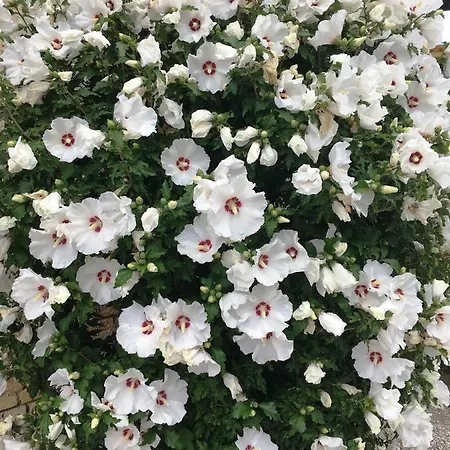 Nocleg ze śniadaniem Palazzo Strassoldo 4*