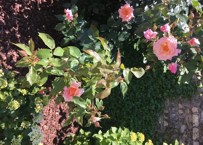 Palazzo Strassoldo Panzió