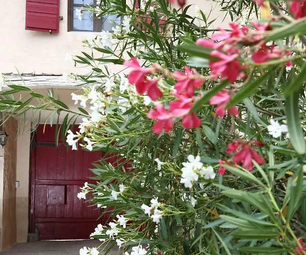 Palazzo Strassoldo 4* Teòr