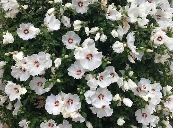 Panzió Palazzo Strassoldo 4*