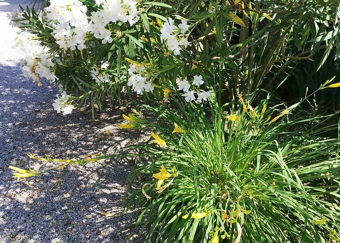 Palazzo Strassoldo 4*