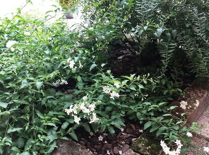 Palazzo Strassoldo Panzió Teòr